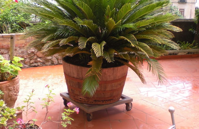 L'Argine Fiorito - Foto 33