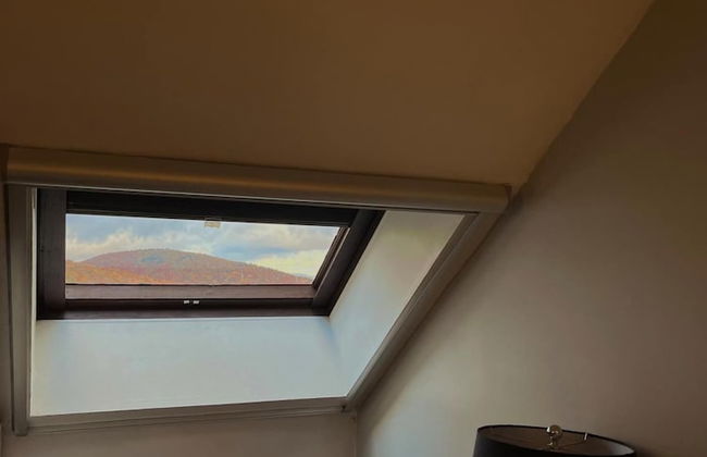 Mt Green Quick Walk to Lift Pool Sauna hot tub - Foto 28