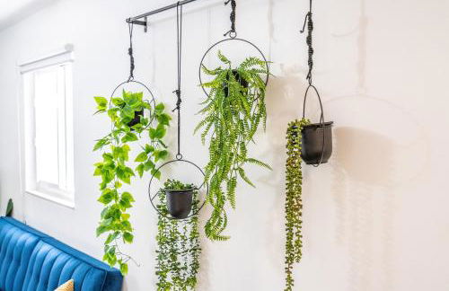 2 BD Home w/ Private Parking, Private Yard & W/D - Photo 27