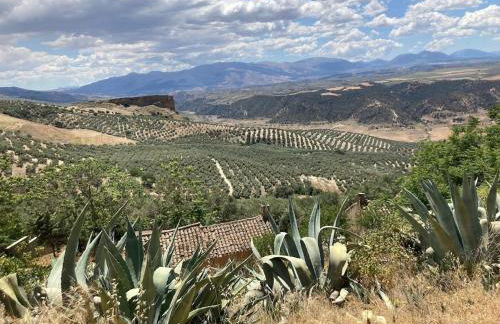 Dehesilla Olive Orchard Retreat - Foto 68