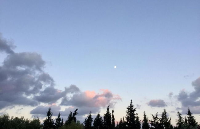 Agriturismo Sogno Latino - Photo 29