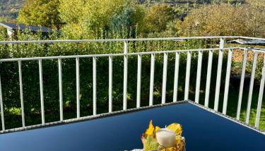 FEWO Klosterblick sowie Weinberge & Drachenflieger - Foto 4