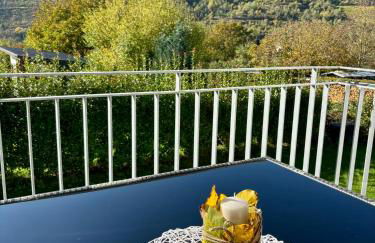 FEWO Klosterblick sowie Weinberge & Drachenflieger - Foto 4