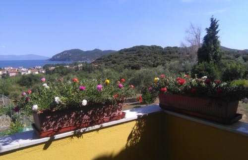 Martha's Villa - Foto 48