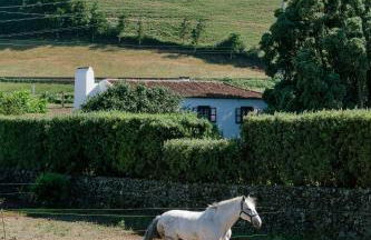 Monte Ingles - Photo 37