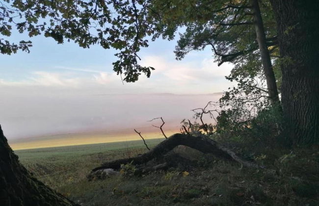 Ferienwohnung in Lowensen mit Eigener Terrasse - Foto 31
