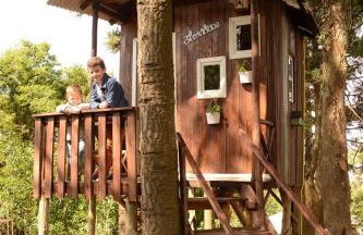 Quintal das Araucárias hospedagem - Foto 22