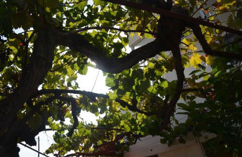 Casa do Alfaiate - Foto 38