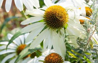 Kircherhof - Foto 25