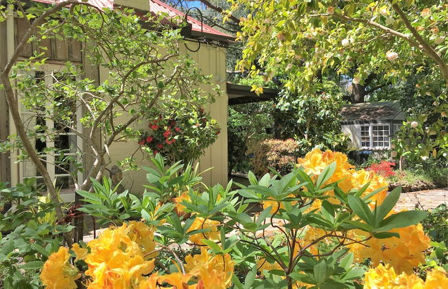 Adelaide Hills Camellia Cottage Wifi - Photo 2