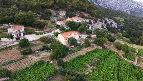 Apartman Dani - Photo 4