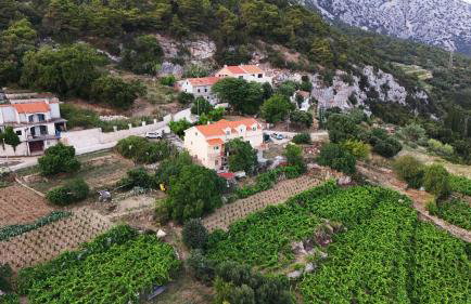 Apartman Dani - Foto 4