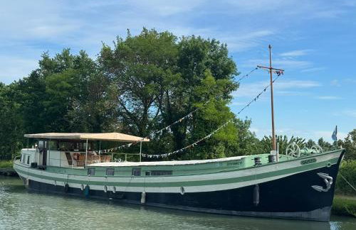 Péniche GEMJO - Chambres d'hôtes - Foto 15