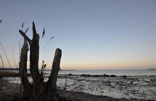 Emilias Hüs, Reethaus in der Bucht von Wismar - Photo 56
