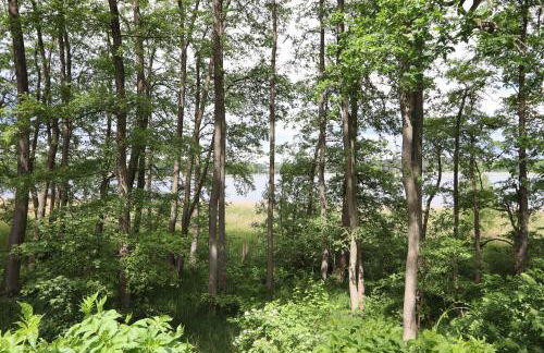 Ferienwohnung Amsel - Foto 7