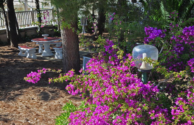 Villa Lara - Foto 43