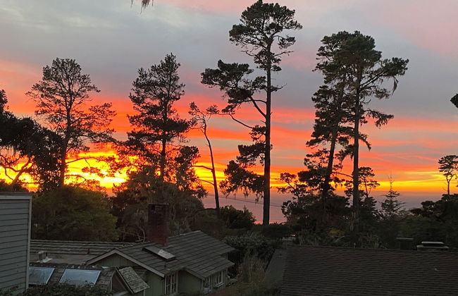 Carmel Dolores Cottages - Foto 18