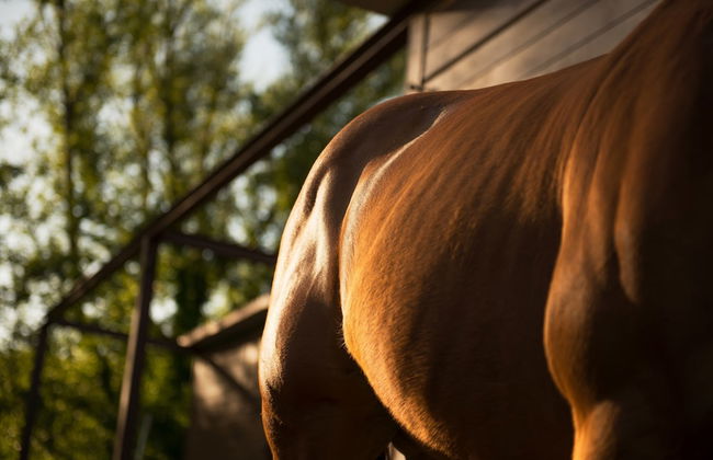 Relais Sassa al Sole - Foto 72