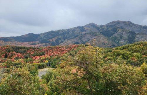 Cozy Mountain Retreat - Foto 36