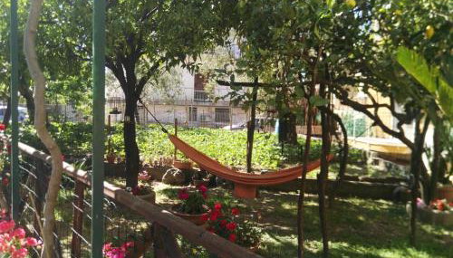 Il Gelso - Foto 3, Garden