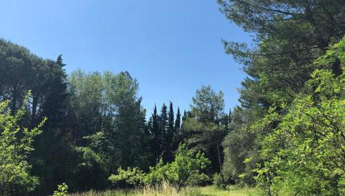 Casale del monte, Pesaro - Foto 5