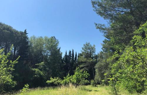 Casale del monte, Pesaro - Foto 5