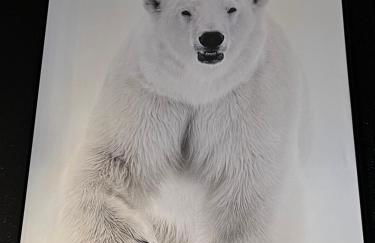 chalet de l ours - Foto 9