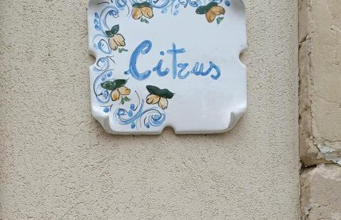 Citrus Verde - Foto 42