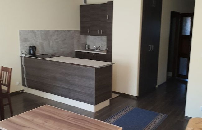 Apartamenty Dragon Elbląg - Foto 13