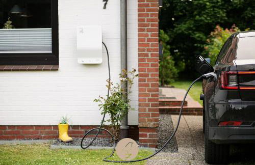 Die 7 Amseln - Photo 25