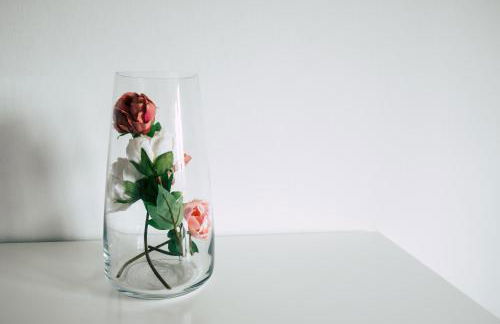 Casas da Faia - Nature Guest House - Foto 25