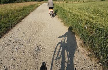 Karolówka Nad Osławą - Foto 20