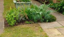 Beautiful cozy studio - Foto 2