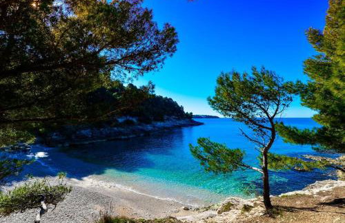 Villa Komel with Pool - Foto 29