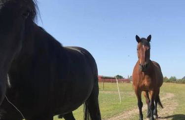 Modern, Stylish lodge with Paddock Views - Foto 15