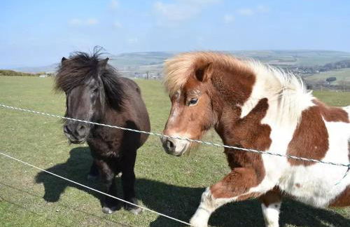 The Retreat - Photo 15