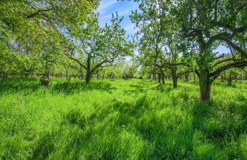 1 Bed in Burnham Overy Town oc-o31908 - Foto 7