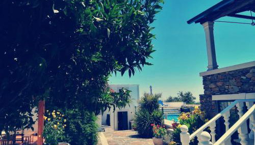 A Quinta da Colina Adega - Foto 3, Garden