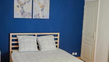 Appartement chaleureux 2ch 3lits Orléans centre - Foto 2