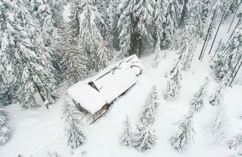 Marshall Cabin - Meredith Lodging - Foto 40