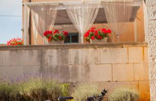 Dvor strica Grge - Foto 14