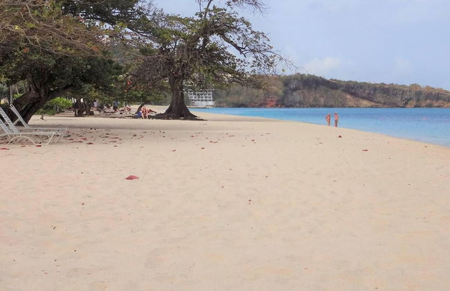 Beautiful 1-bed Apartment in Saint George's - Foto 27