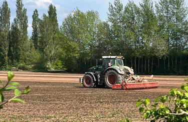 Lilac Cottage - Foto 7