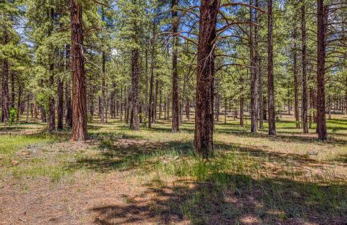 Rogers Cabin Historic Log Cabin in the Woods Near Grand Canyon Flagstaff - Foto 21