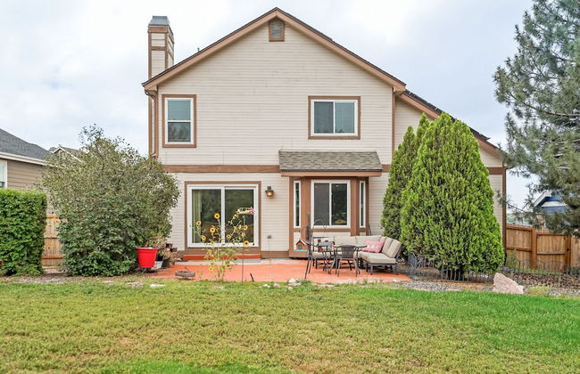 Shirley's Temple - Foto 55