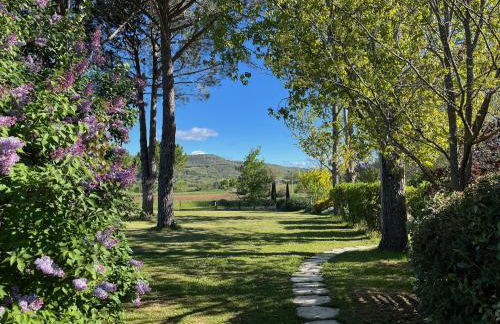 Domaine de la Bastidonne - Foto 69