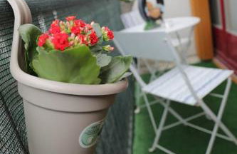 Le nid douillet - Foto 44