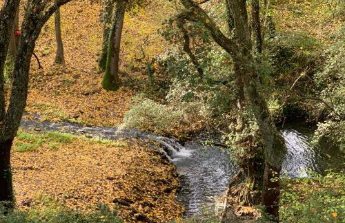 La Apañaora - Foto 41