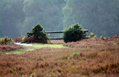 Perfect holiday Home from Home , three bedroom house for 5 guests - Foto 32