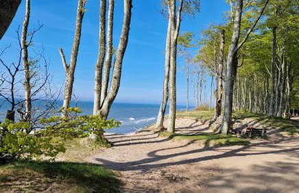 Apartamenty Róża Wiatrów 45B z dużym tarasem - Foto 27